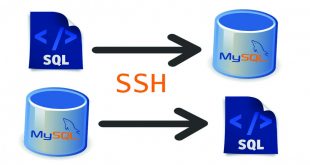 Phục hồi database bằng chương trình SSH