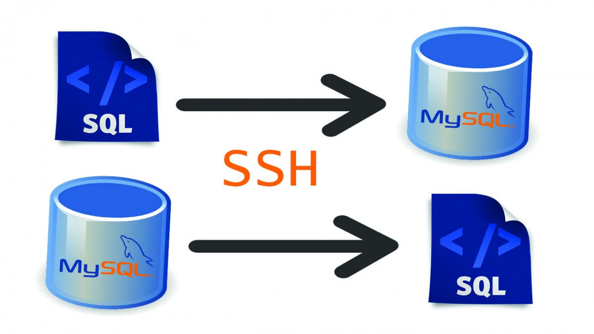 Phục hồi database bằng chương trình SSH