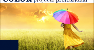 COLOR-Projects-Professional